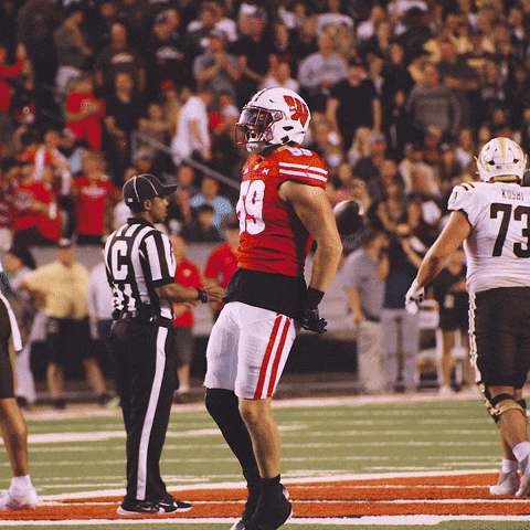 College Football Celebration GIF by Wisconsin Badgers