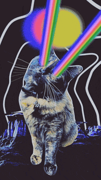 the_real_theory cat trippy moon dreams GIF