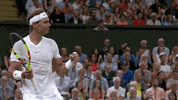 rafael nadal rafa GIF by Wimbledon