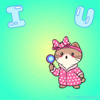 I Love You Cat GIF by Silly Kitties