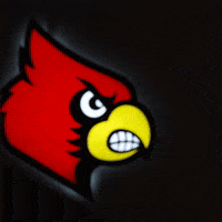 University Of Louisville GIF by Louisville Cardinals