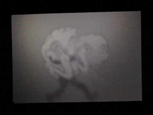 GIF by Neil Sanders