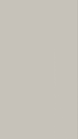 uofscadmissions giphyupload university usc south carolina GIF