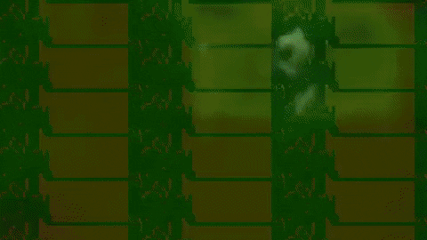 Art Artist GIF by jorgemariozuleta