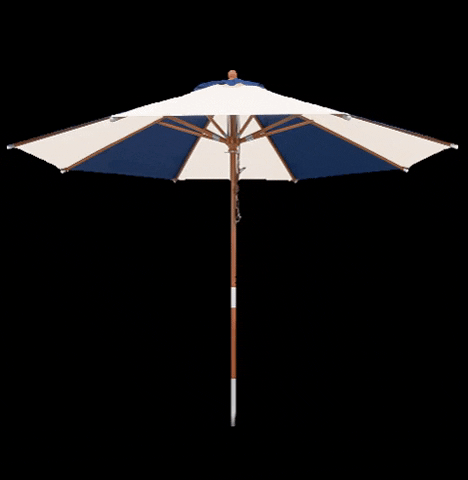 Good Morning Summer GIF by anndora