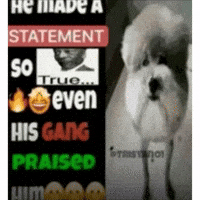 He Made A Statement GIF