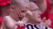 Euro 2016 Celebration GIF by Sporza