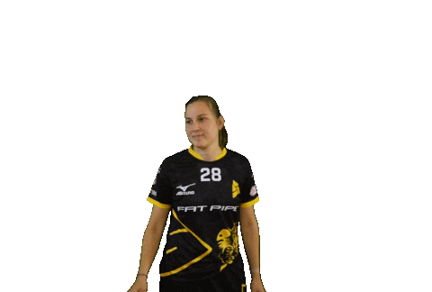 Floorball Sticker by Český florbal