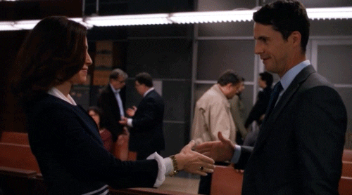 the good wife GIF