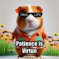 Wisdom GIF by Guinea Gambino