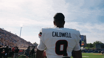 Cincinnati Football GIF by Cincinnati Bearcats