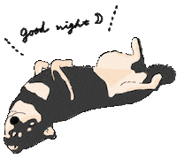 Shiba Mameshiba Sticker