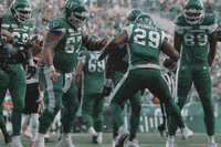 SaskatchewanRoughriders football dancing celebration celebrate GIF