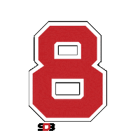 Pilotos Sticker by Super Drift Brasil