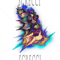 Screcci GIF by A.M.T.G. G.G.
