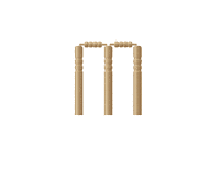 Dc Catch Sticker by BORN ON INSTAGRAM