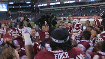 GIF by Temple Owls
