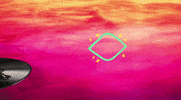 sonicseagirls music cool festival guitar GIF
