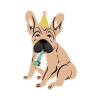 Happy Birthday Dog Sticker by Seattle Chocolate