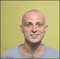 bald GIF