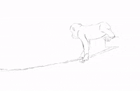 Animation Monkey GIF by dan.bahia.dan