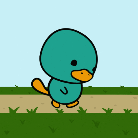 GIF by Critters Quest