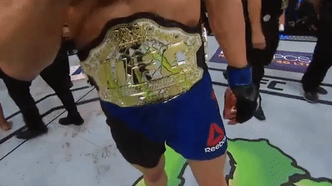 ufc 213 GIF