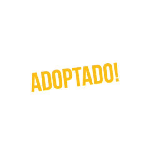 Adoptist giphyupload adopta adopcion adoptado Sticker
