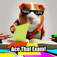 School Students GIF by Guinea Gambino