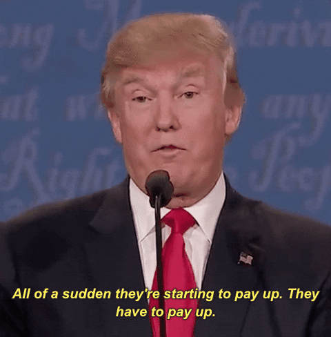 they have to pay up donald trump GIF by Election 2016
