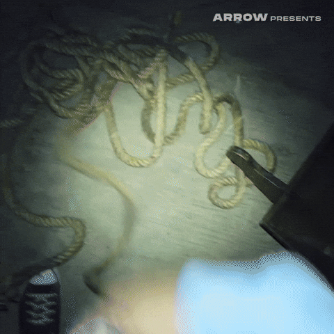 Found Footage Film GIF by Arrow Video