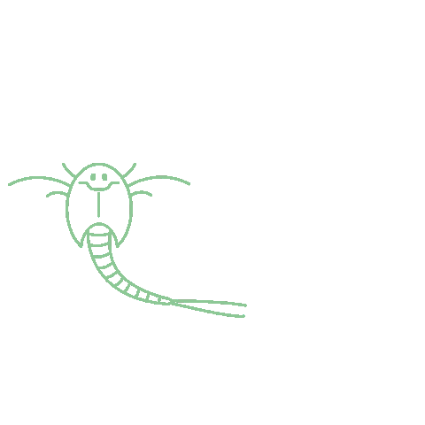 Krebs Urzeitkrebs Sticker by KOSMOS Experimentieren