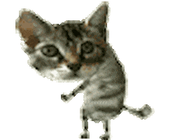 thecatsite giphyupload cat kitty meow Sticker