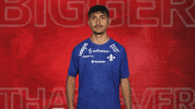 Badge Vbl GIF by Bundesliga