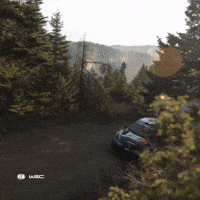 Driving Slow Motion GIF by FIA World Rally Championship