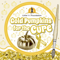 LittleHeroFoundation  GIF