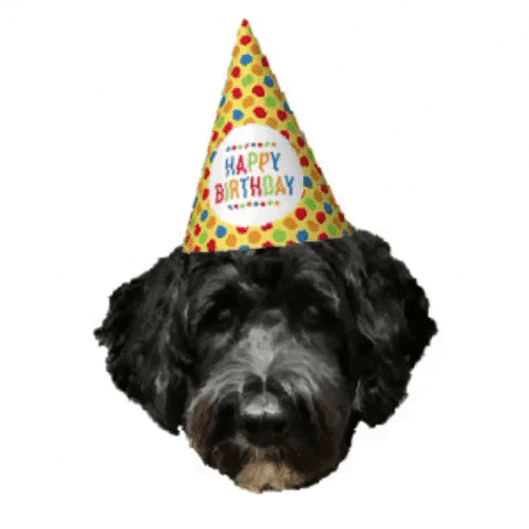 GIF by Democracy Docket