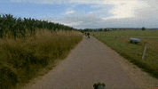 sx_tim ride crash slide supermoto GIF