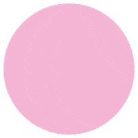 BNO design amazing 2019 present Sticker