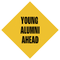 BNO design amazing 2019 present Sticker