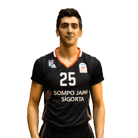 Basketball Ball Sticker by Beşiktaş