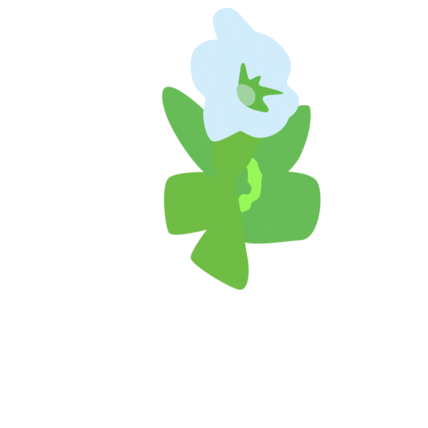 Skincare Paris Sticker by Drunk Elephant
