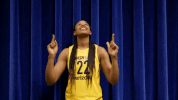 basketball sport GIF by Indiana Fever