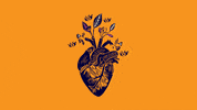 Mcli GIF by imcine