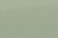 richardpieterse dachshund game dev genital jousting free lives GIF