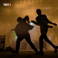 Kavga GIF by TRT
