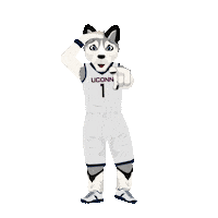 College Basketball Ncaa Sticker by SportsManias