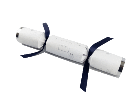 Christmas Skincare Sticker by Obagi UK & Ireland