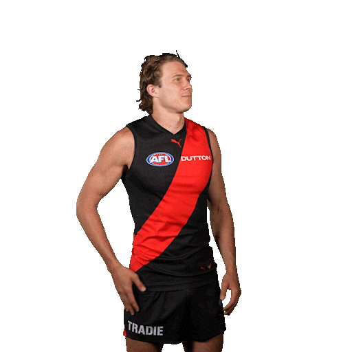 Football Sport Sticker by Essendon FC