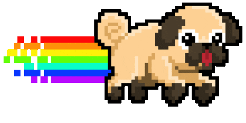 Dog Rainbow Sticker by Light